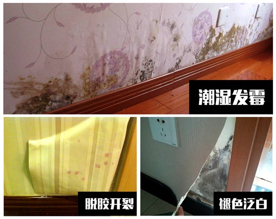 數碼彩環(huán)保漆