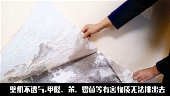 數碼彩環(huán)保漆