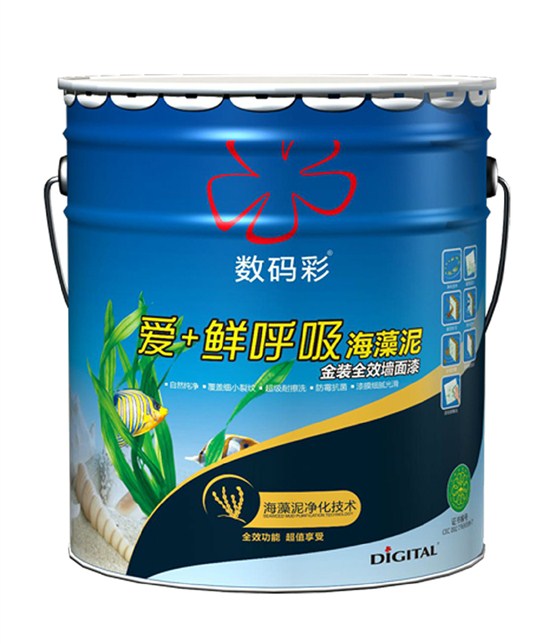 數碼彩環(huán)保漆