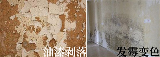 油漆涂料常見(jiàn)問(wèn)題，數(shù)碼彩漆教你妙招應(yīng)對(duì)