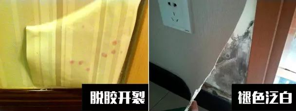 〖家裝資訊臺(tái)〗潮濕天氣，房子剪開(kāi)壁紙全是蘑菇